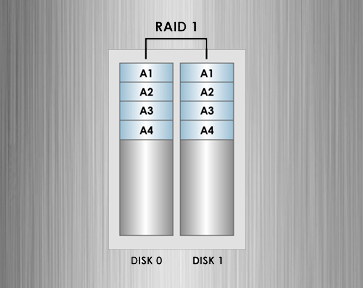 RAID1.jpg